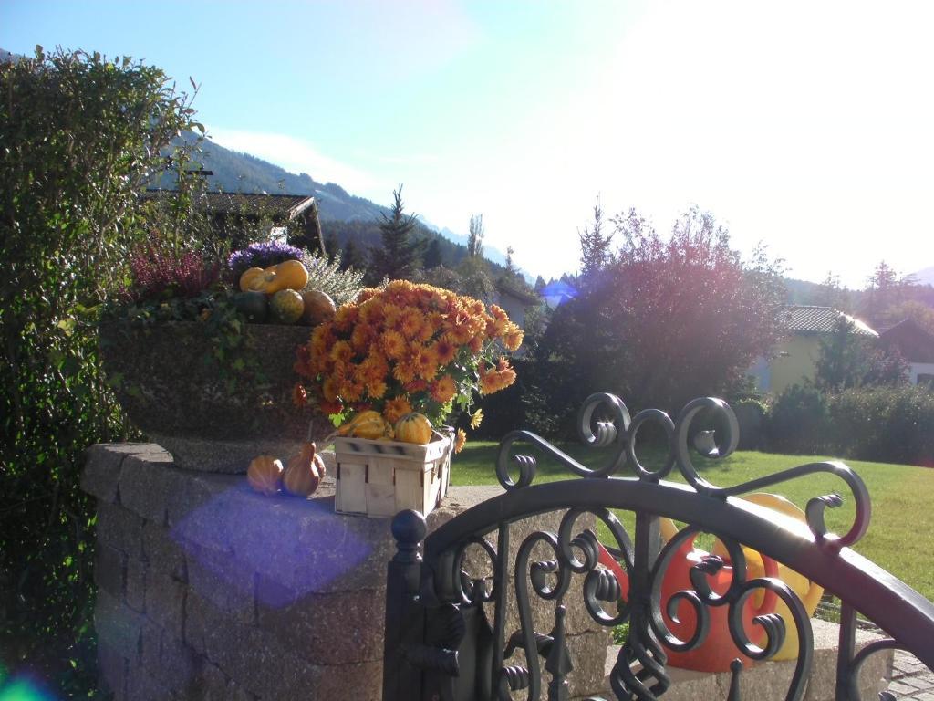 Appartements Haus Olympia Innsbruck Phòng bức ảnh